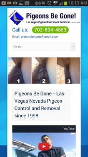 Good mobile user experience.  (source - PigeonsBeGone.com)
